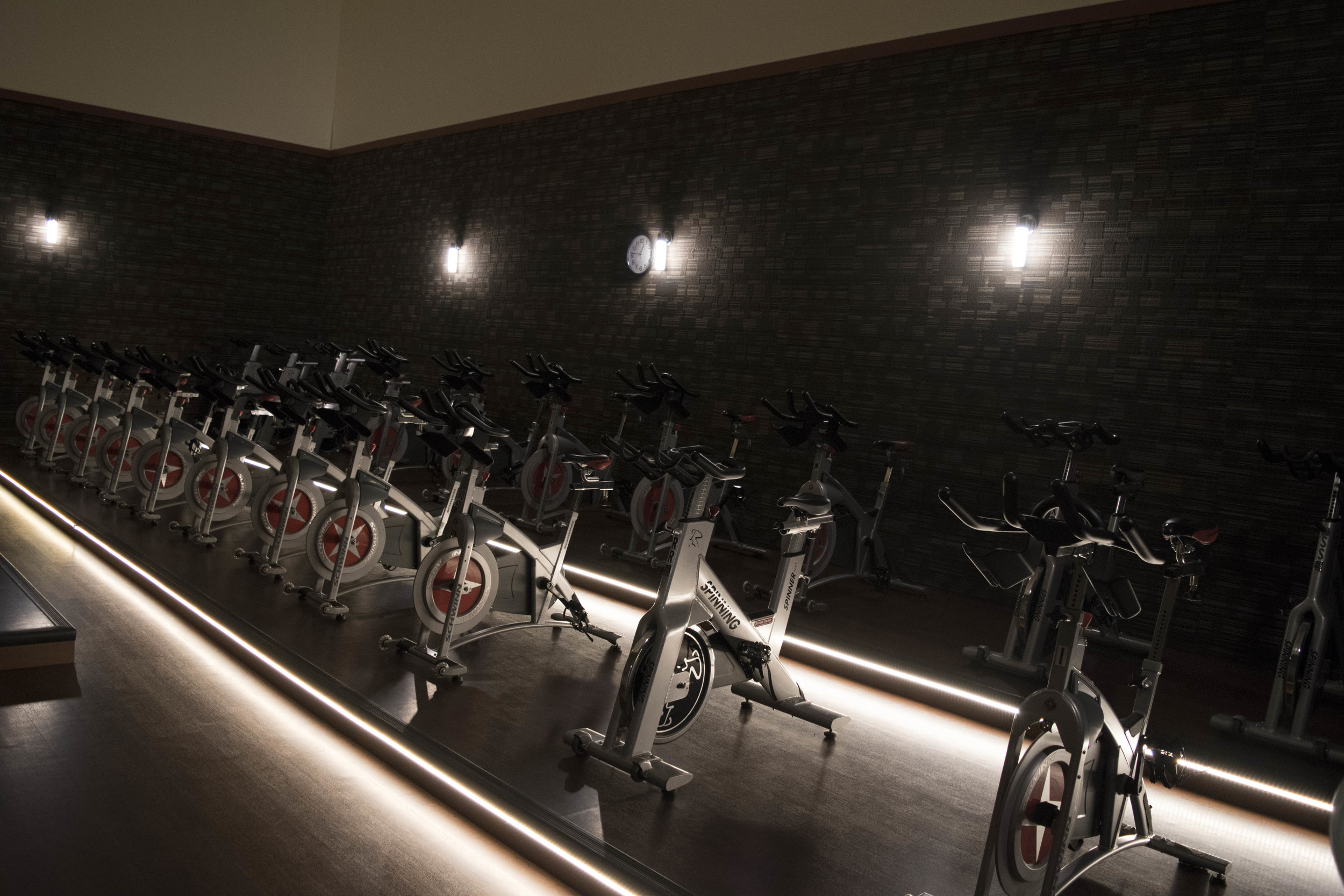 group of stationary bikes