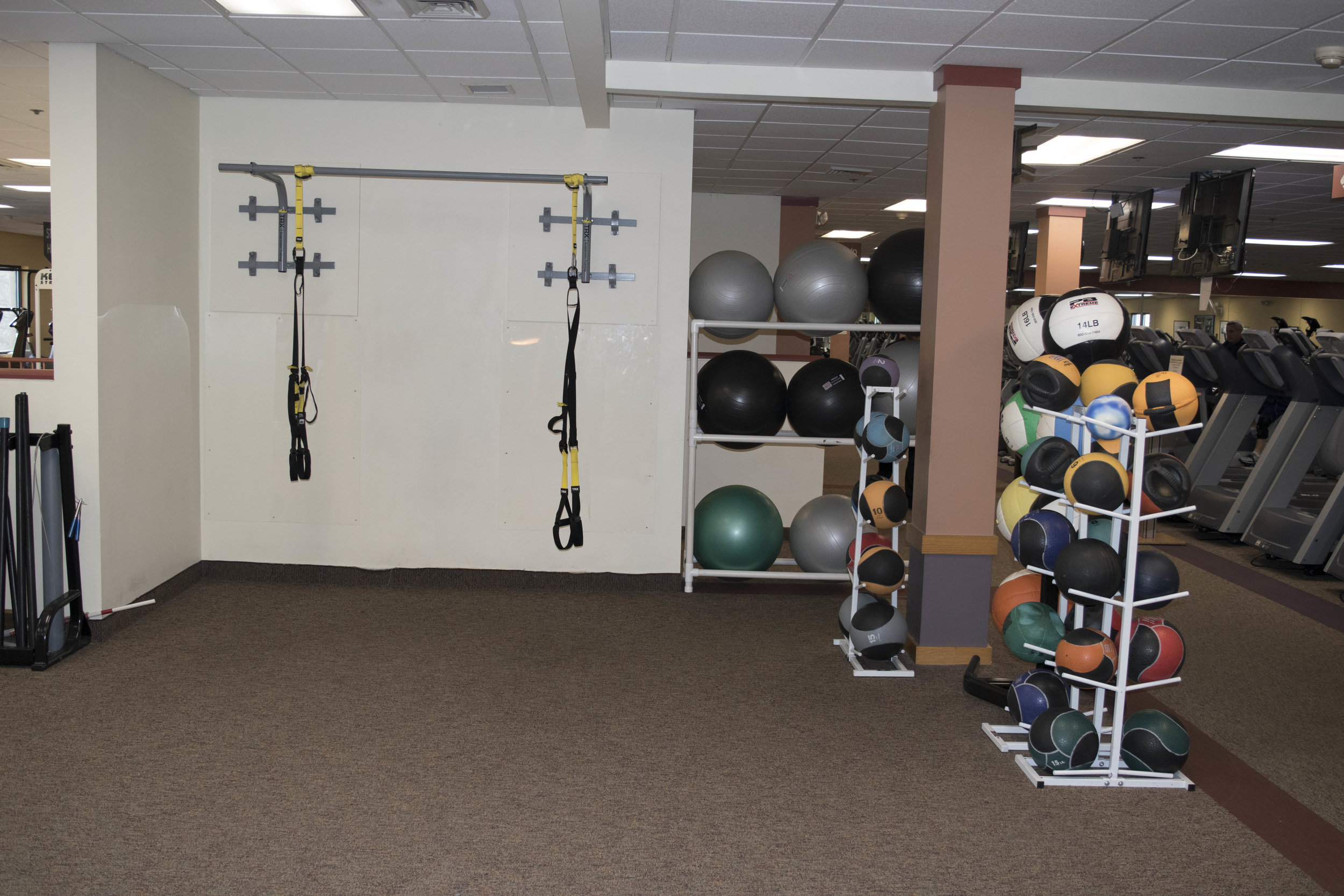 trx straps and weights
