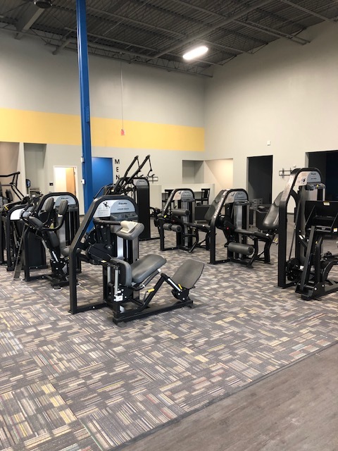 assorted gym equipment