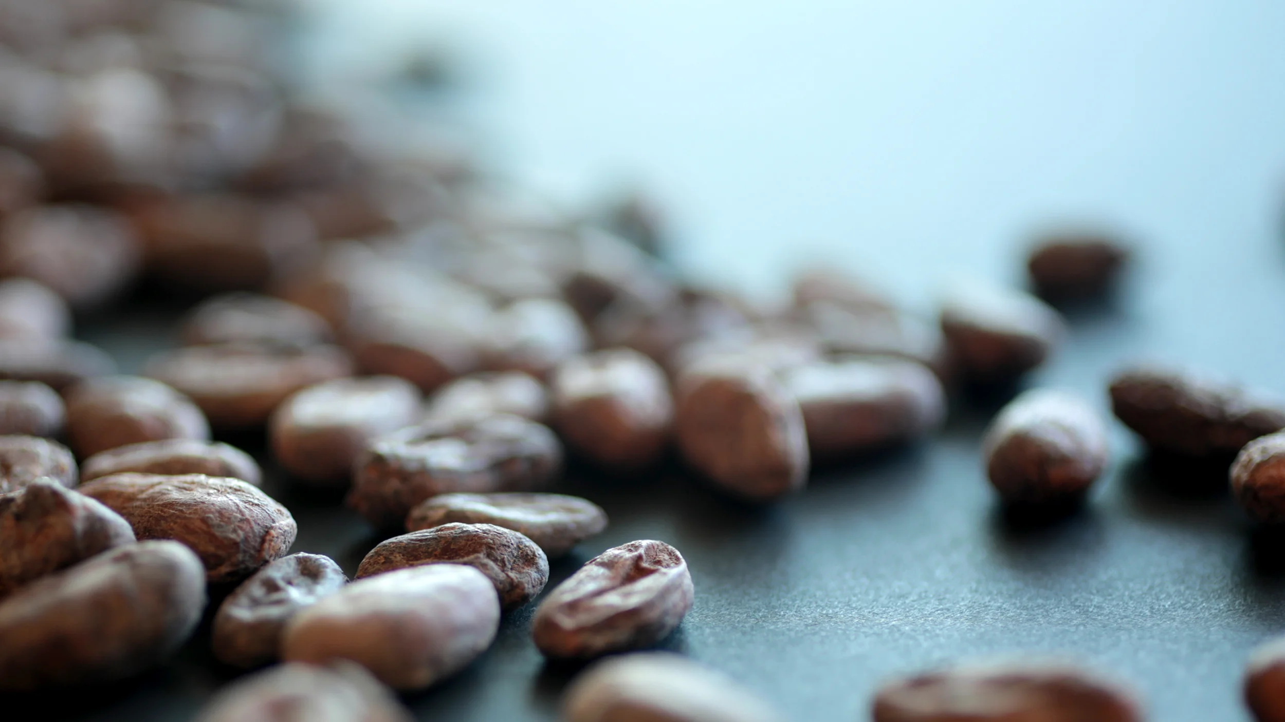 Filipino Cacao.jpg