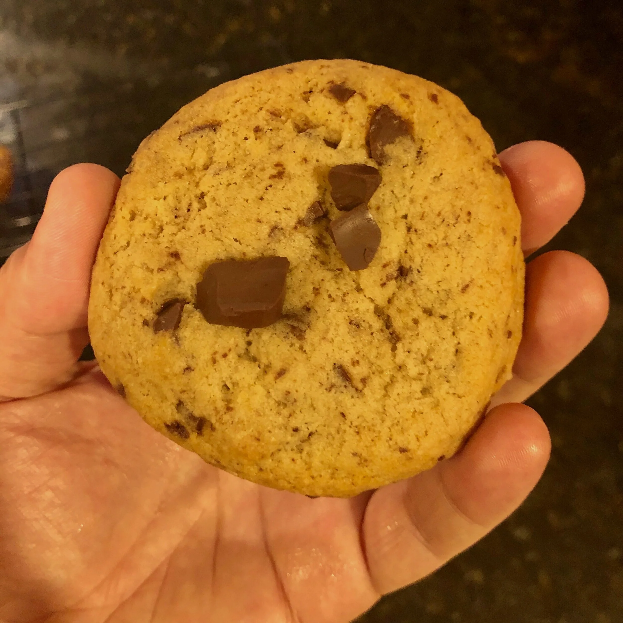 vegan cookies starbucks