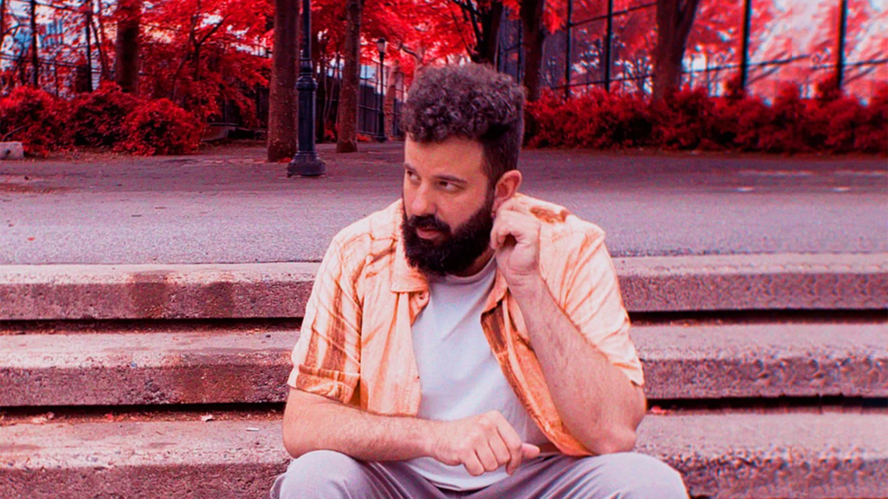 Graham Red Tree Crop 2.jpg