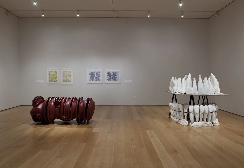 Tony-Cragg-Nasher-Sculpture-Center-2012-10-small.jpg