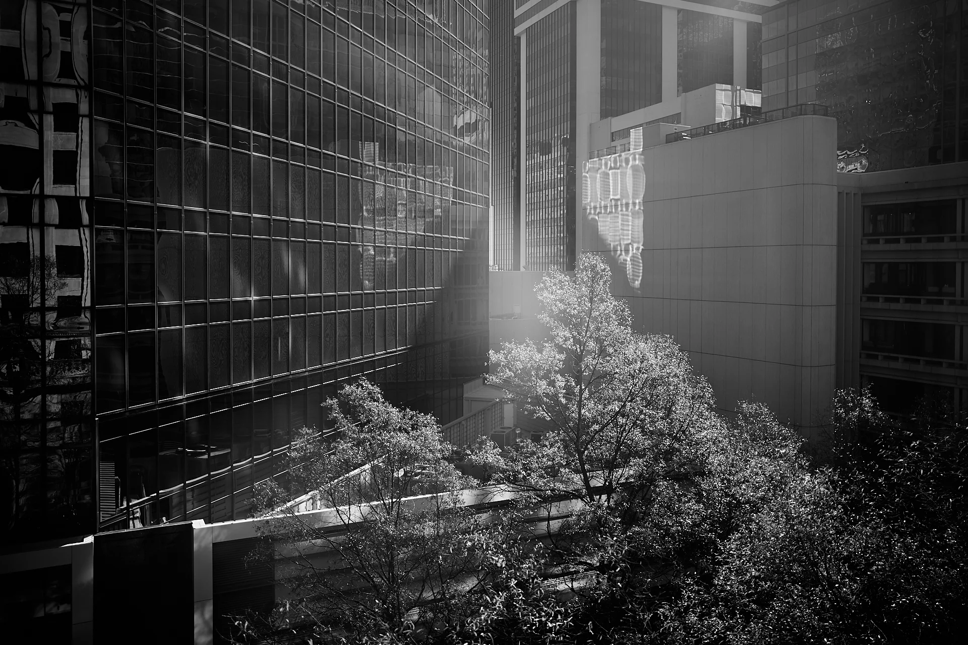 L1000123.jpg
