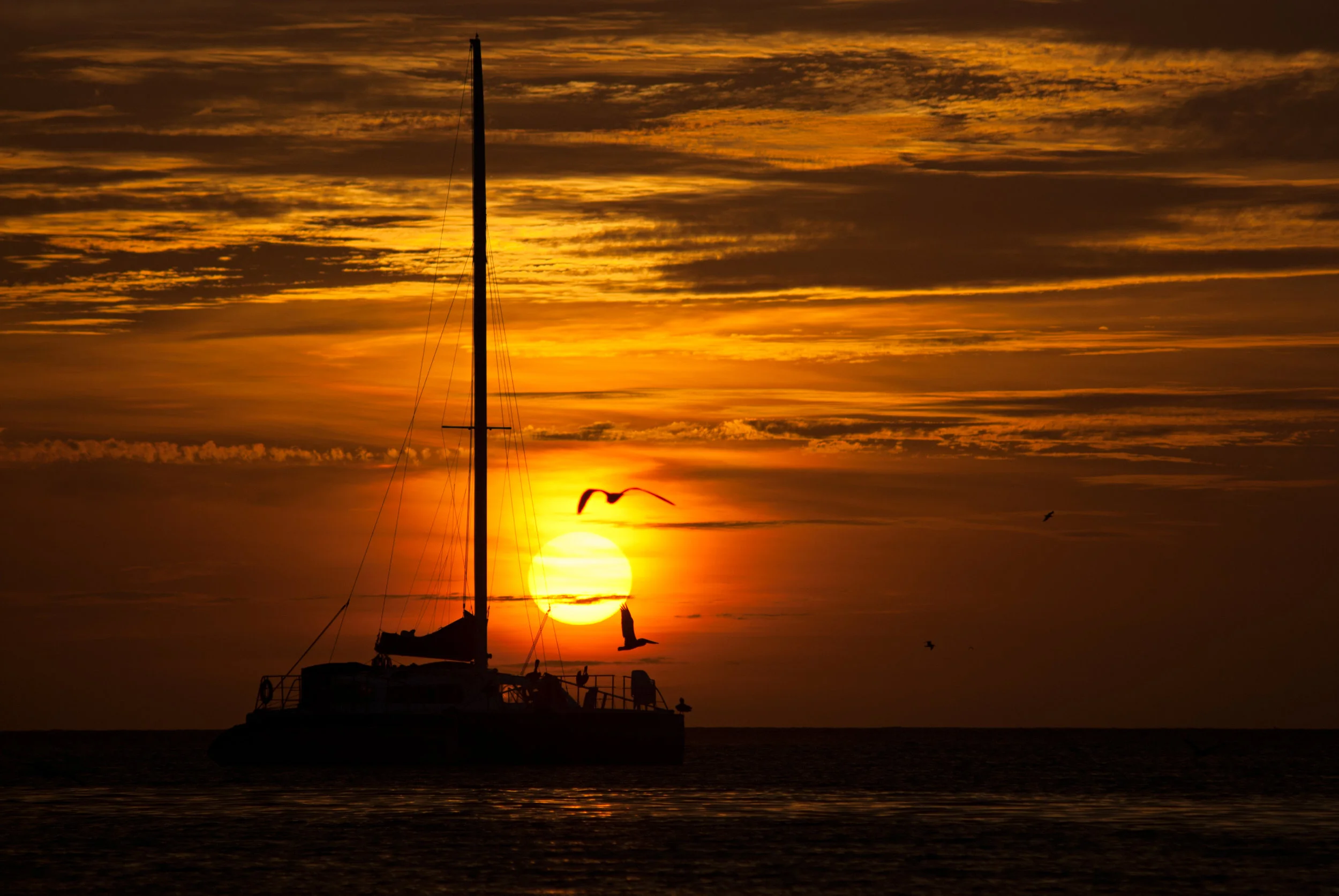 DSC_1678.jpg