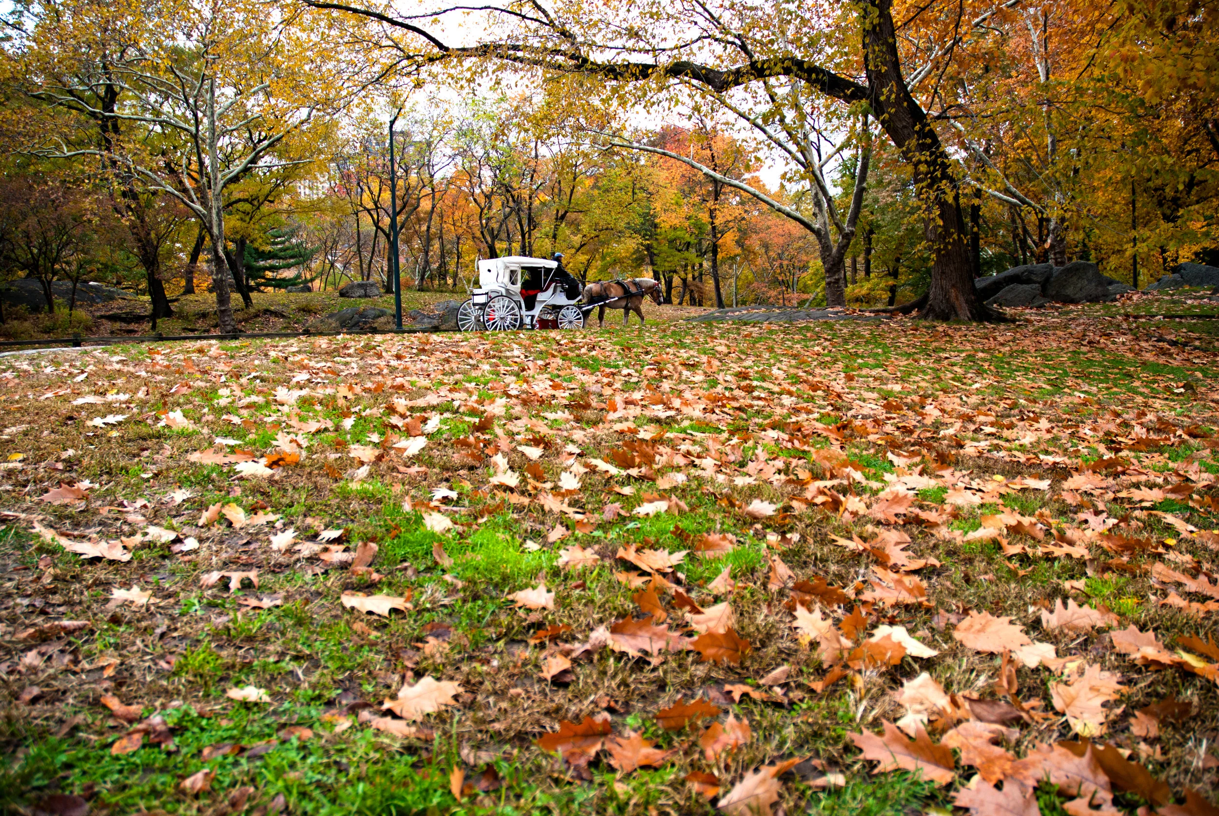 DSC_1942.jpg