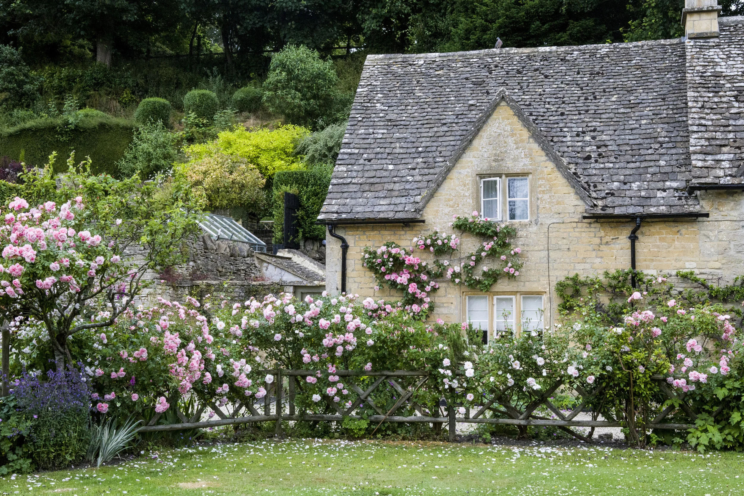 English Florals Forever