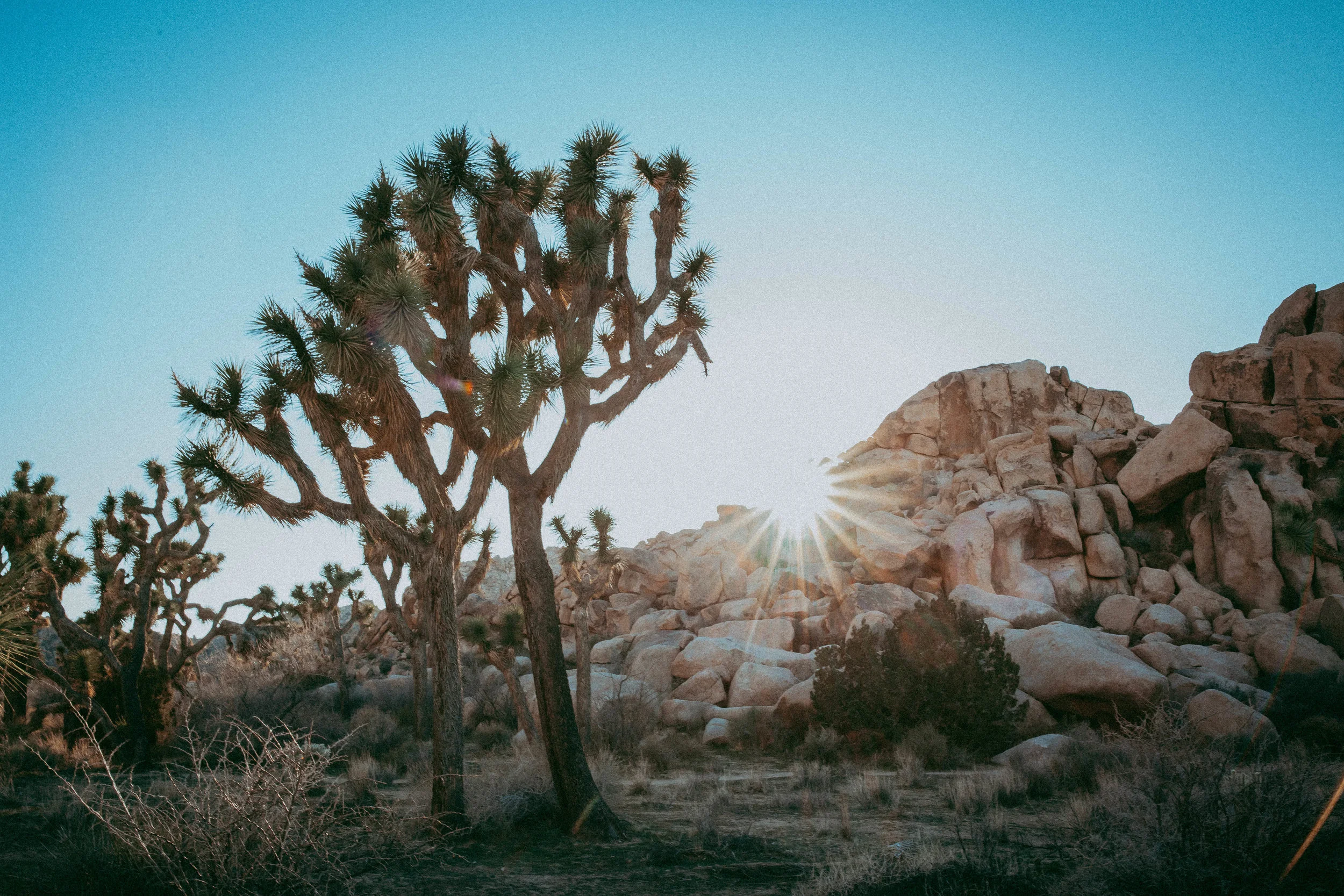 A First-Timer In the High Desert