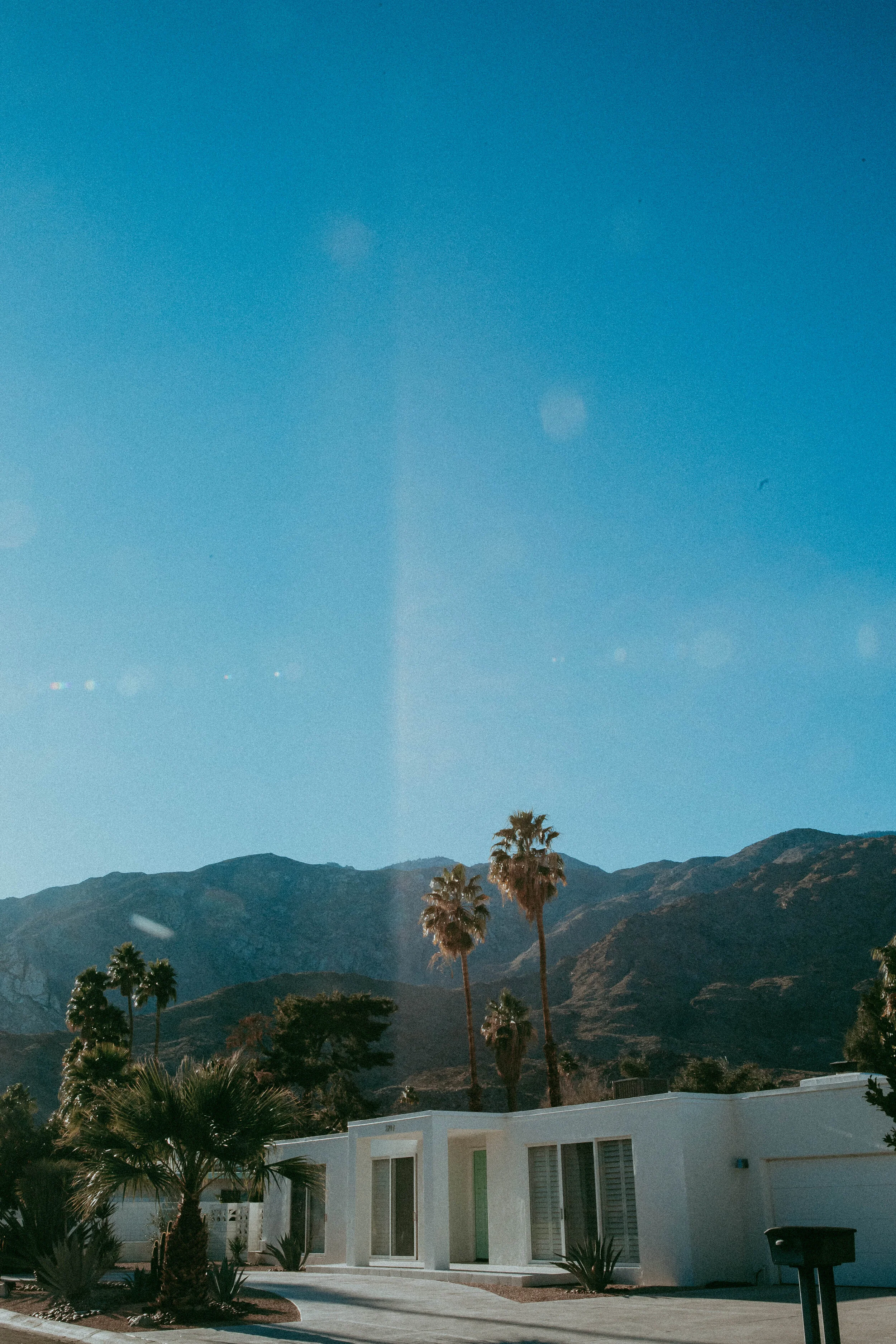 IMG_8874_april1_caliedits.jpg