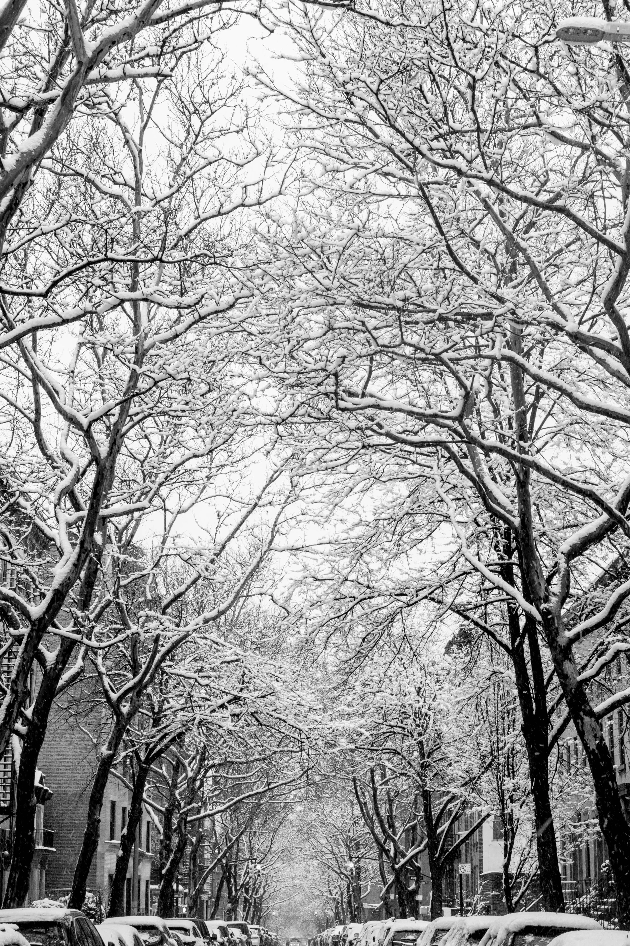180321_snowday-9381.jpg