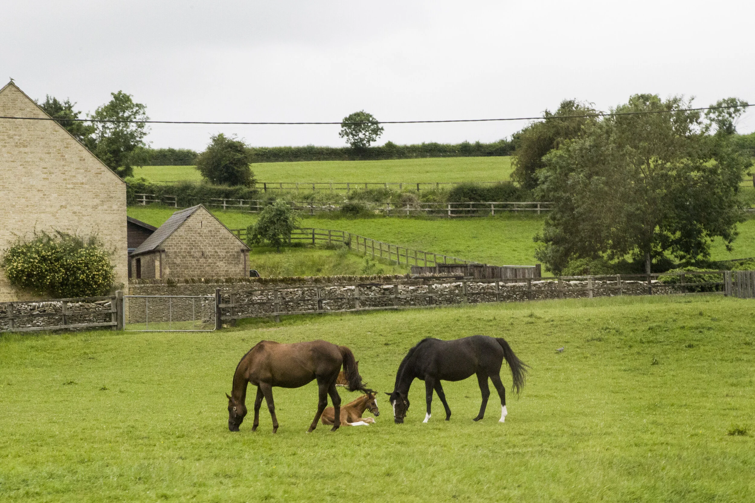 cotswolds_IMG_7511-2.jpg