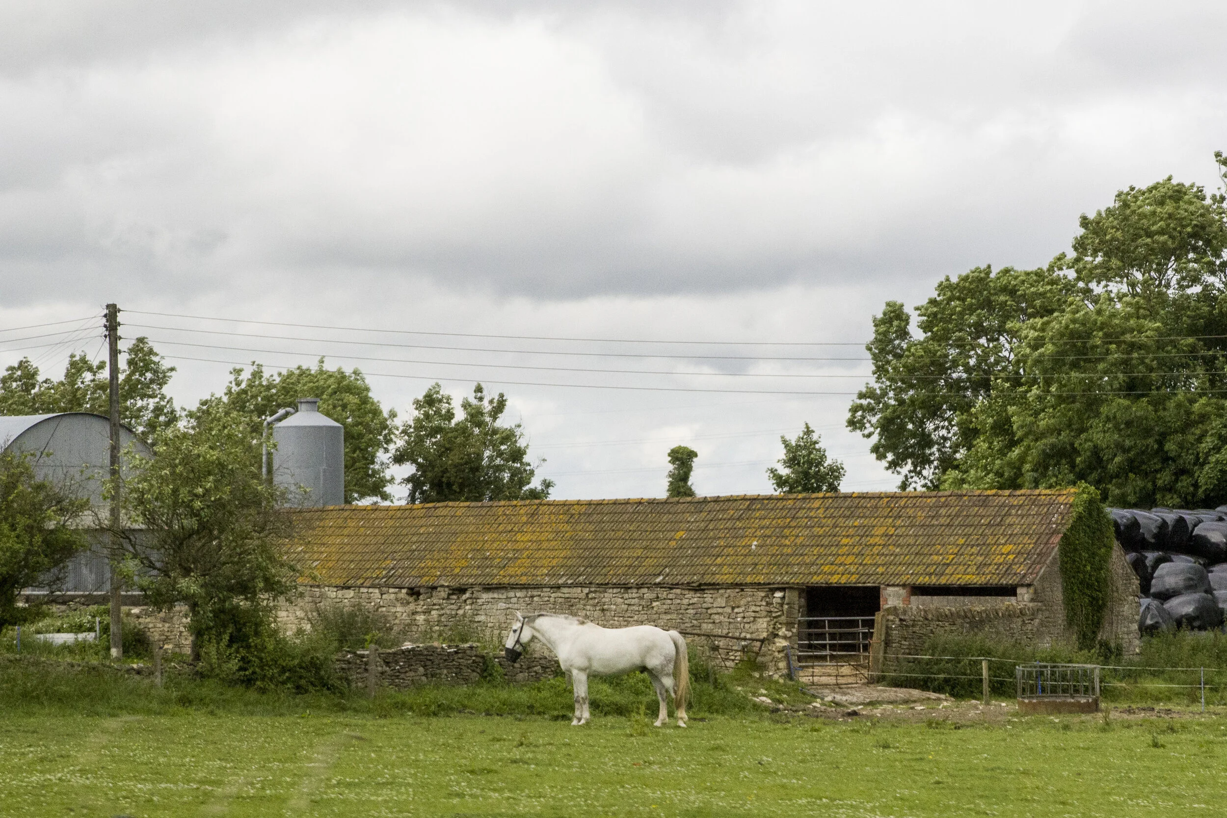 cotswolds_IMG_7690.jpg