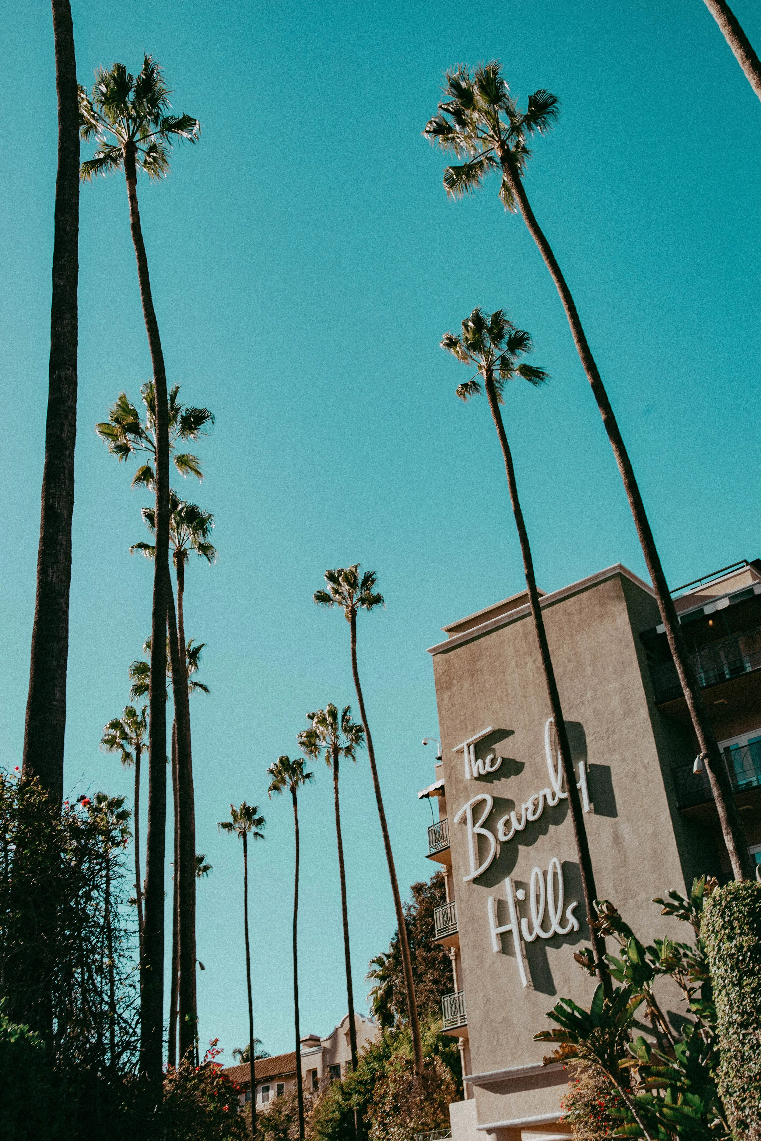 IMG_9055_april1_caliedits.jpg
