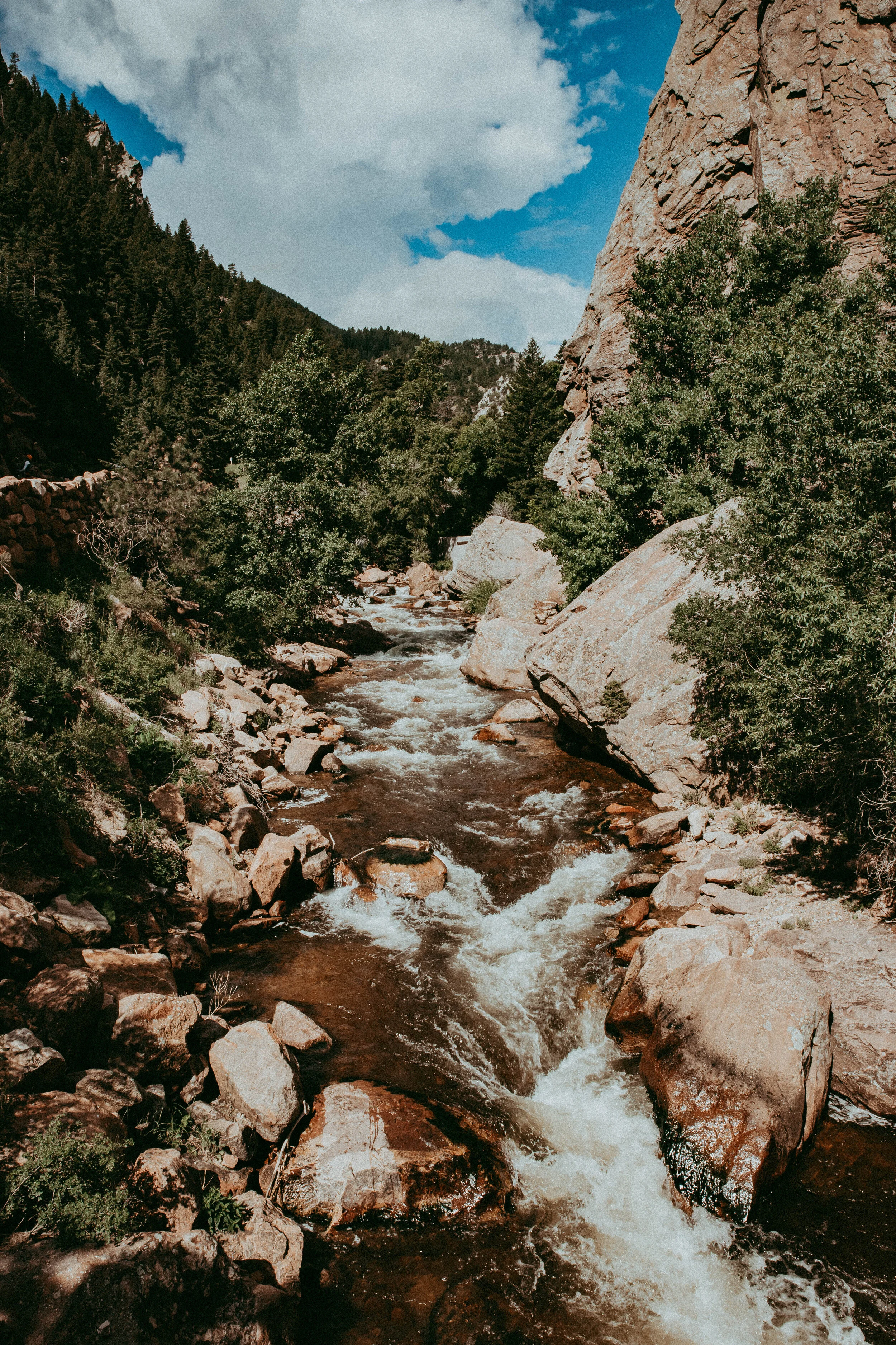 colorado_-8660.jpg