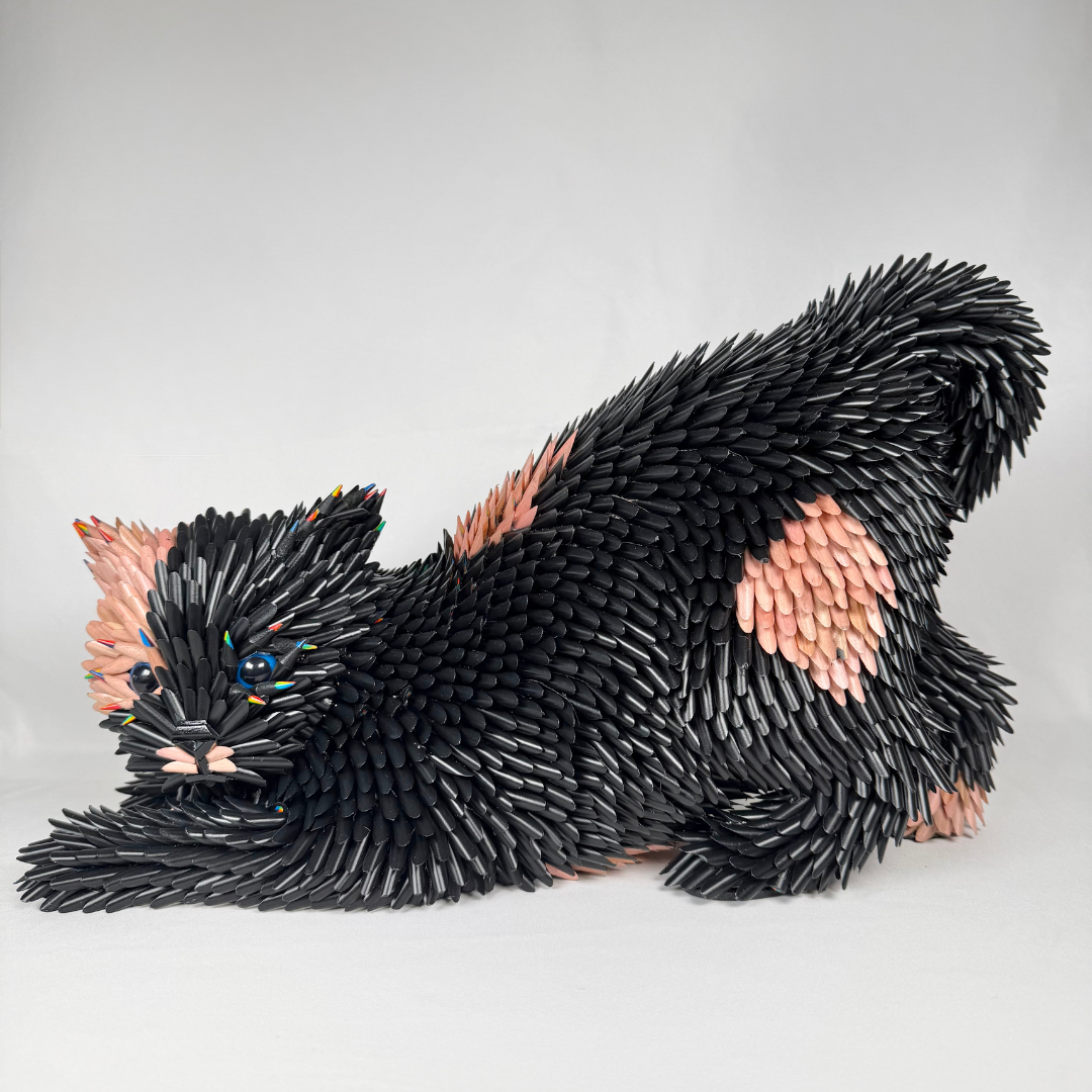 Federico Uribe, Playful Cat.png