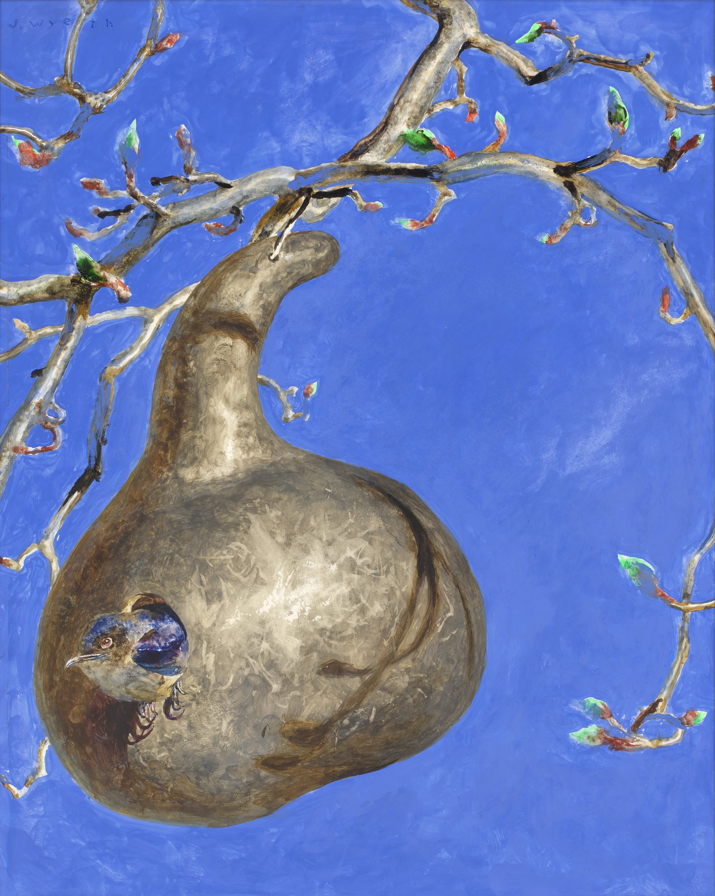 J Wyeth, Gourd.jpg