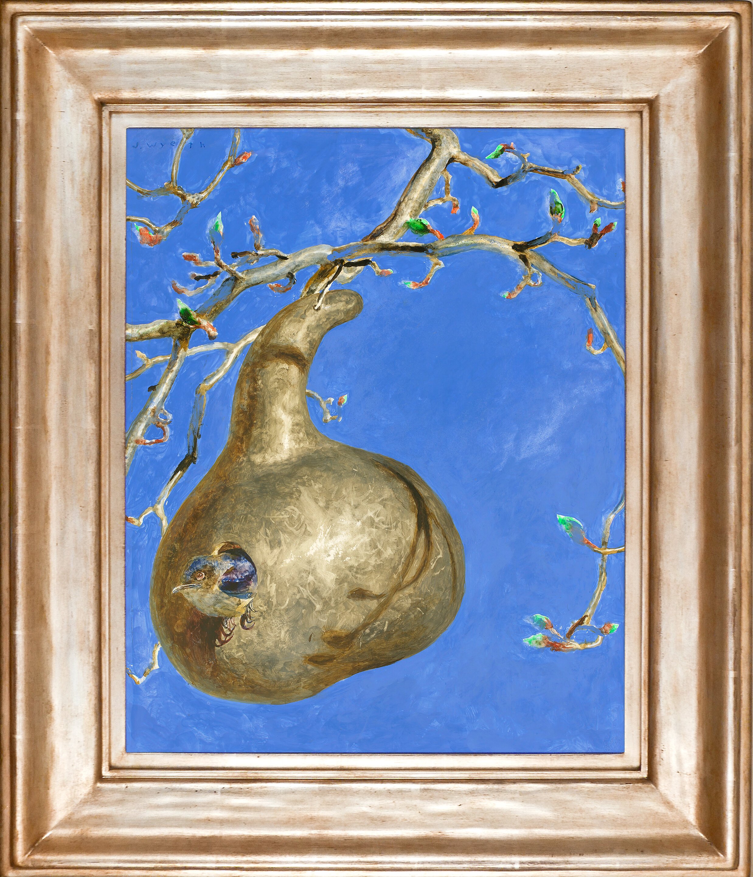 Wyeth J, Gourd.jpg