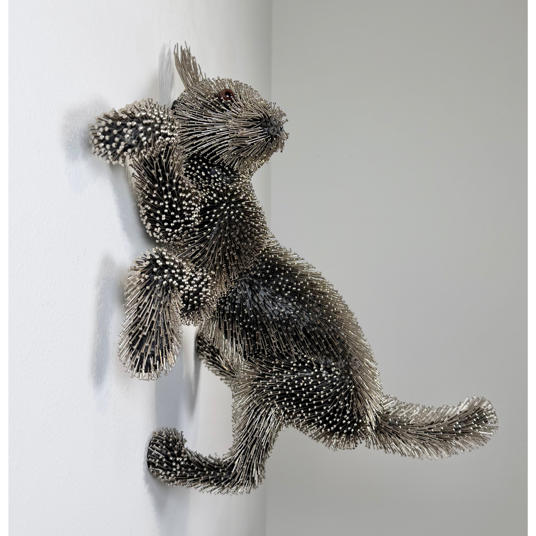 Federico Uribe, Playful Pin Puppy, 2026_3.png