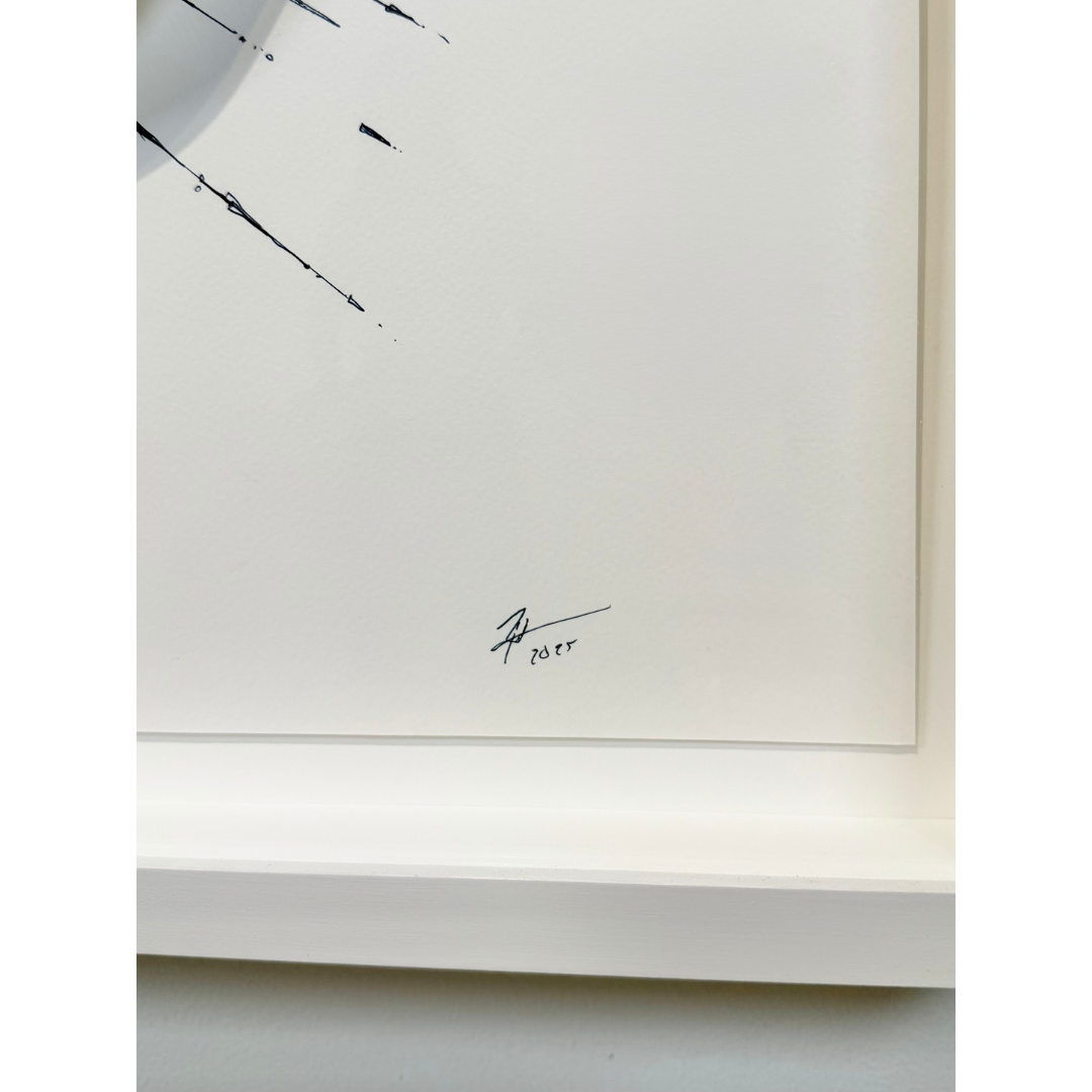 Rob Strati, Sailing Ships with Wanderer and Gulls, 2025_7.png