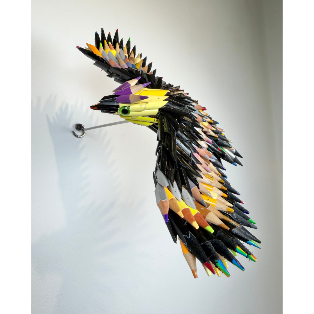 Federico Uribe, Black Flying Bird 6.png