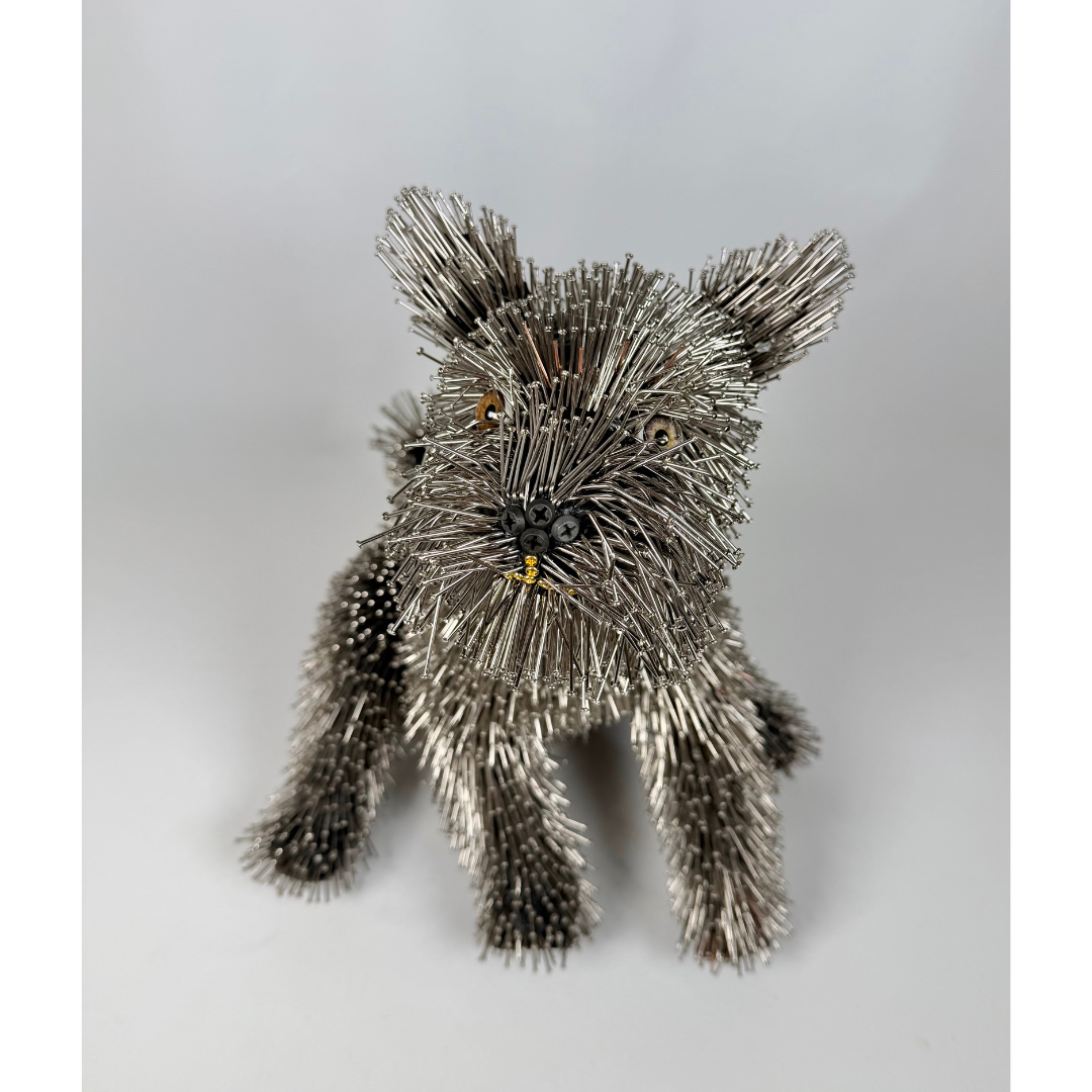 Federico Uribe, Terrier.png