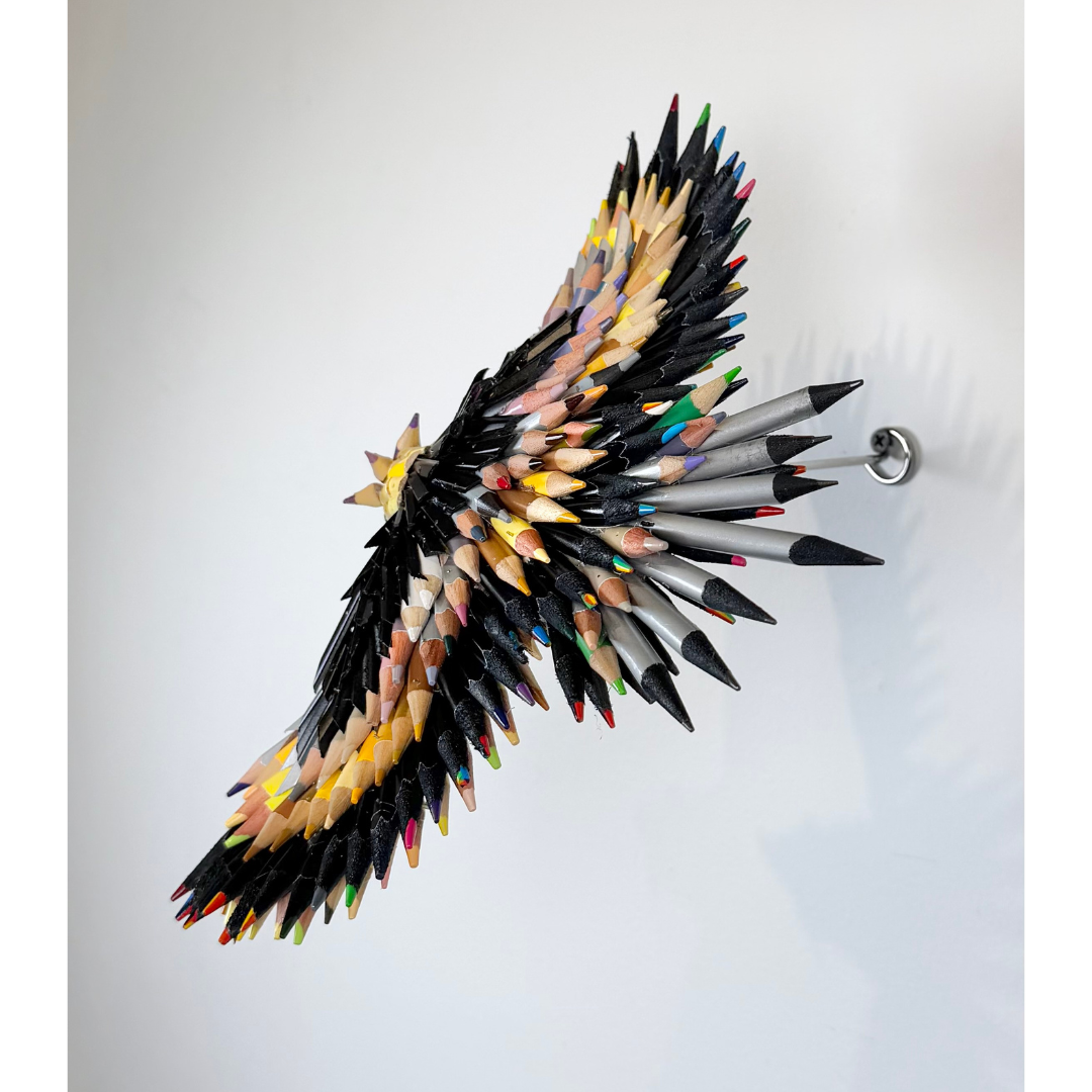 Federico Uribe, Black Flying Bird 3.png