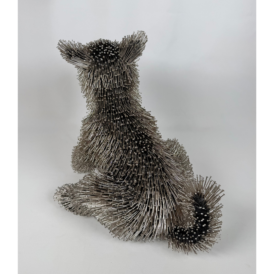 Federico Uribe, Terrier 5.png