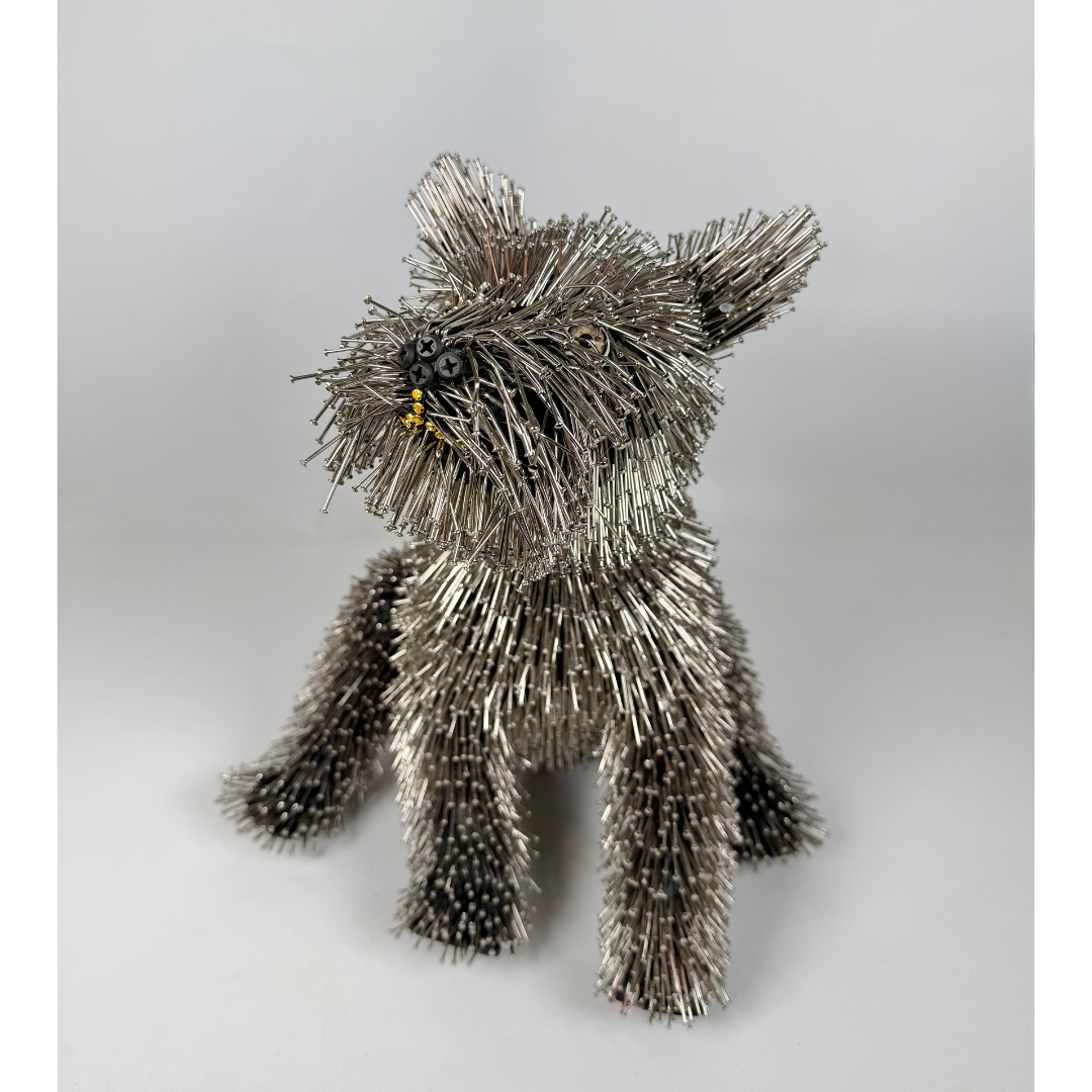 Federico Uribe, Terrier 7.png