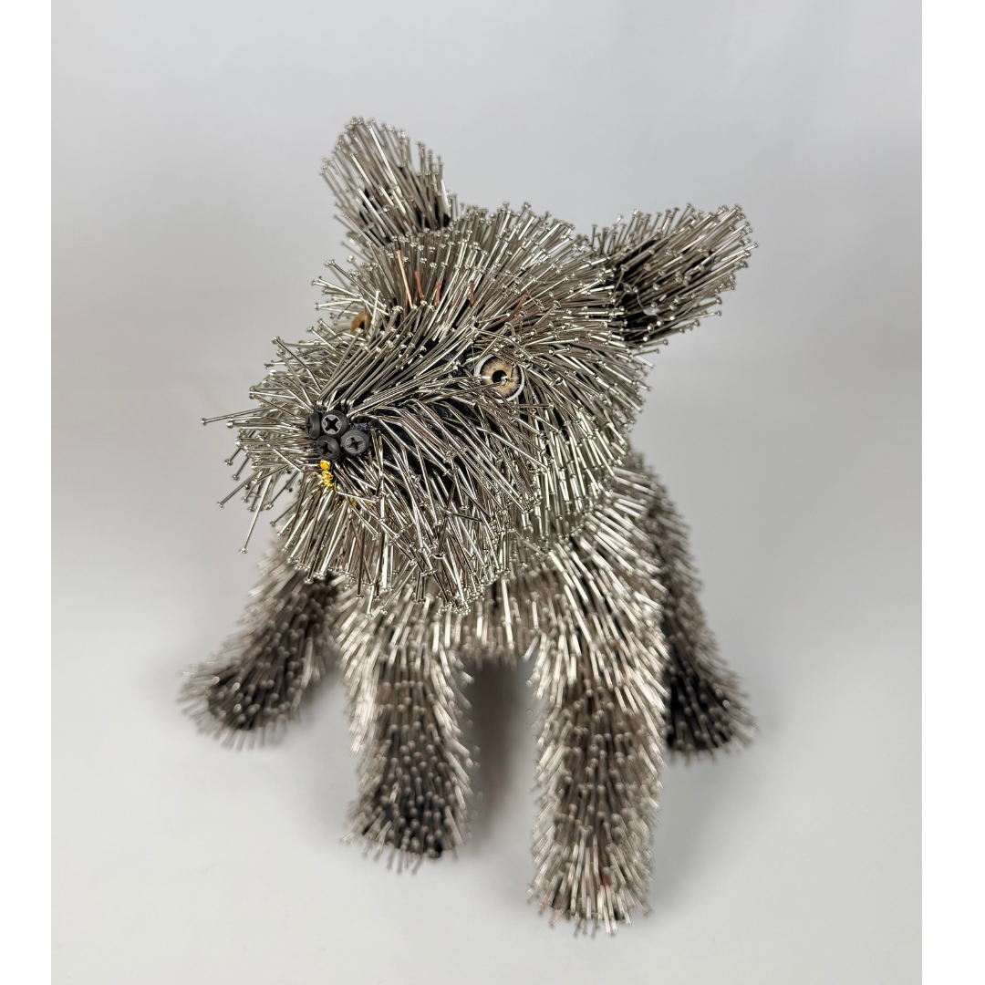 Federico Uribe, Terrier 9.png