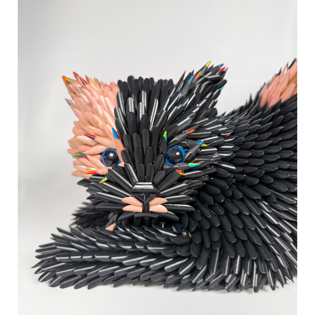 Federico Uribe, Playful Cat 2.png