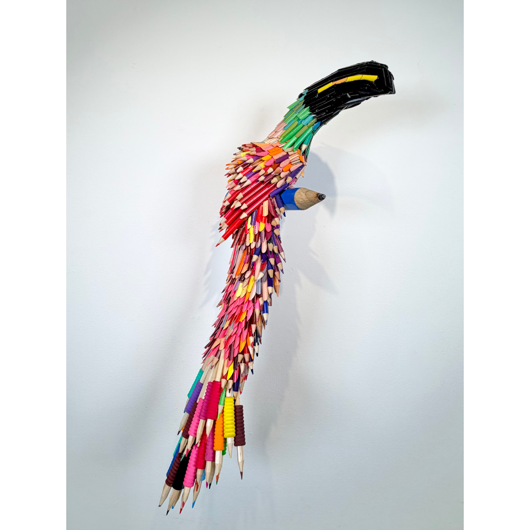 Pencil Toucan