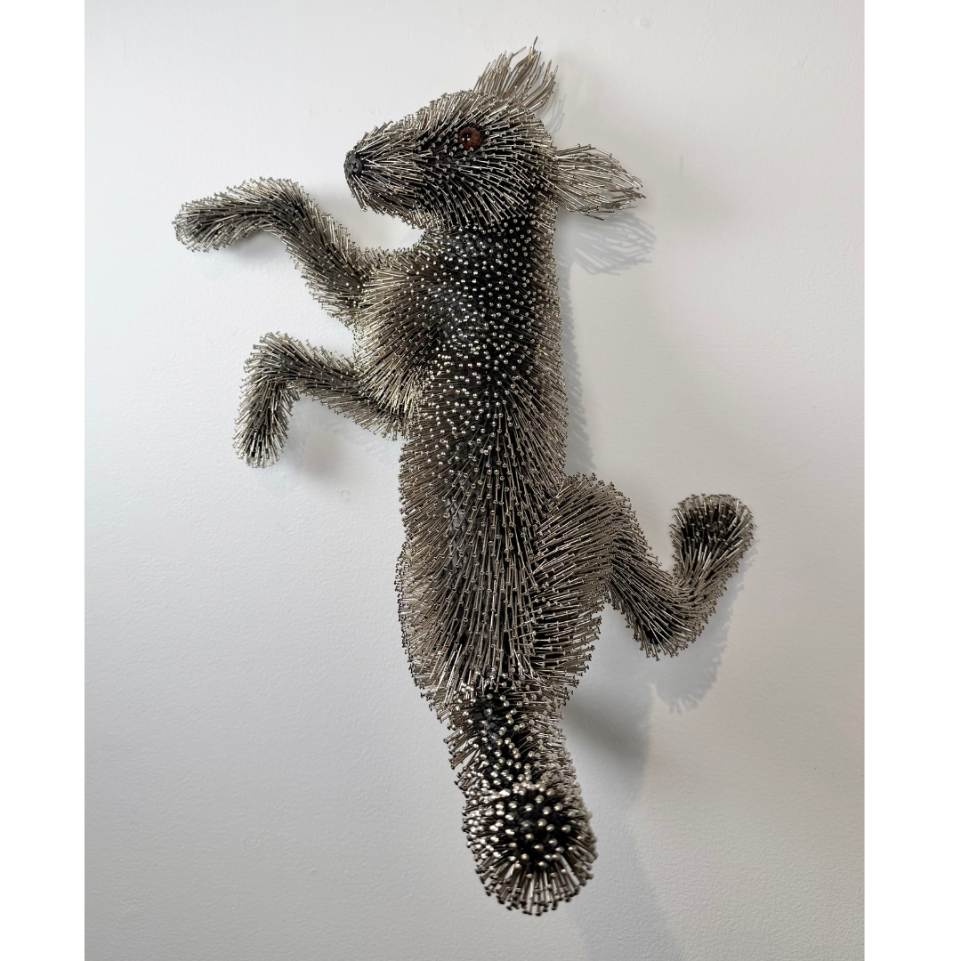 Federico Uribe, Playful Pin Puppy, 2026_5.png