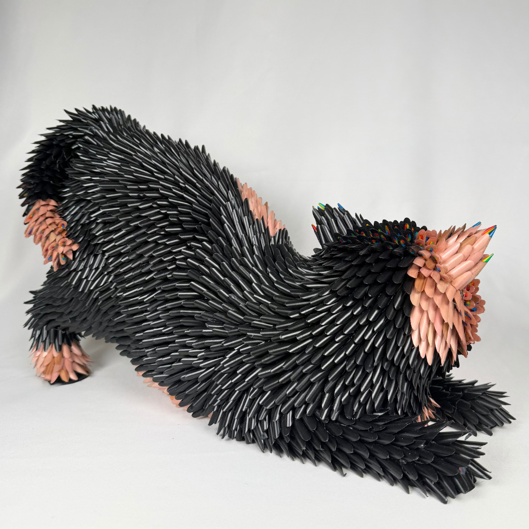 Federico Uribe, Playful Cat 5.png