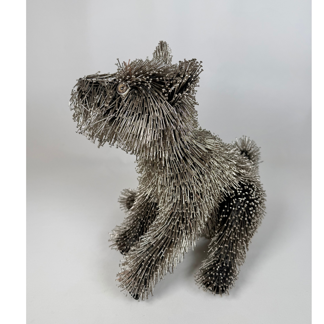 Federico Uribe, Terrier 8.png