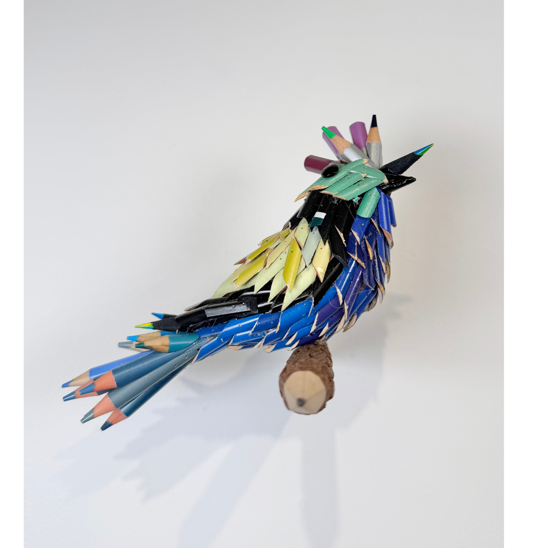 Blue and Yellow Pencil Bird