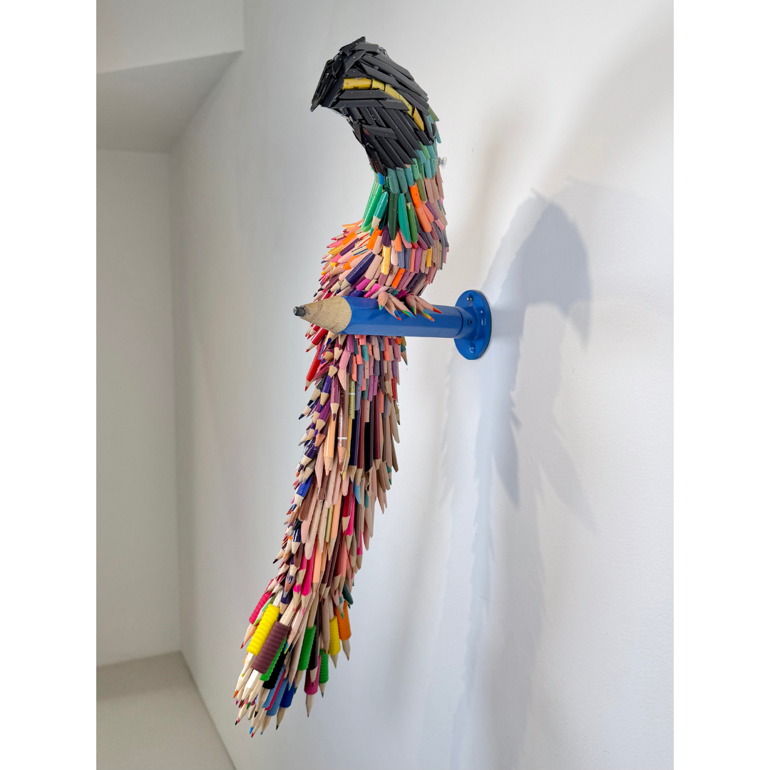 Federico Uribe, Pencil Toucan 5.png