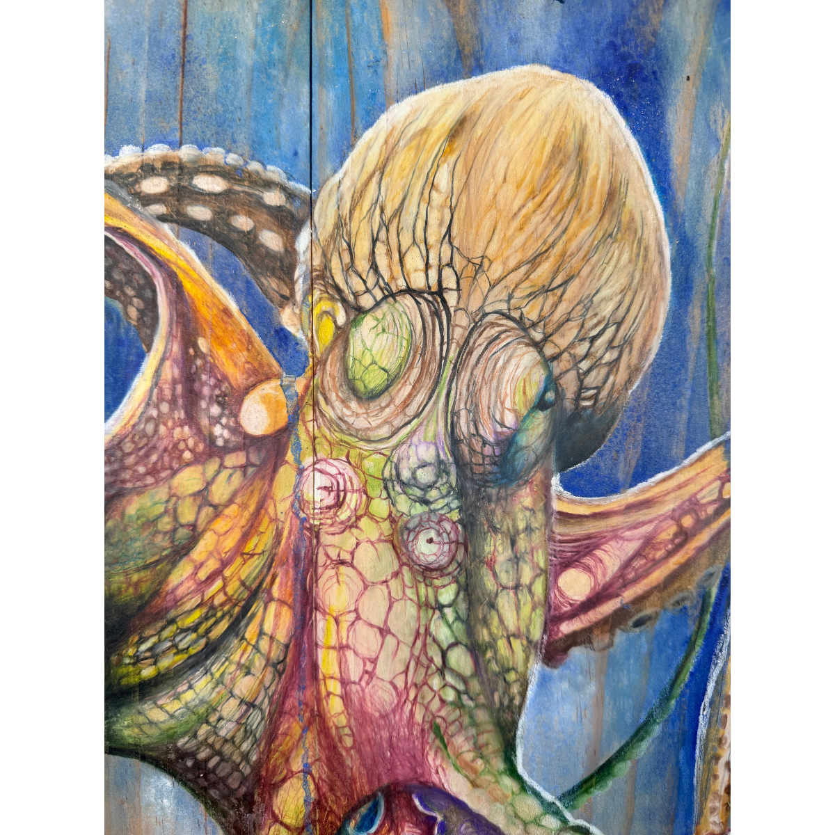 Anthony Burks, Octopus, 2026_6.png