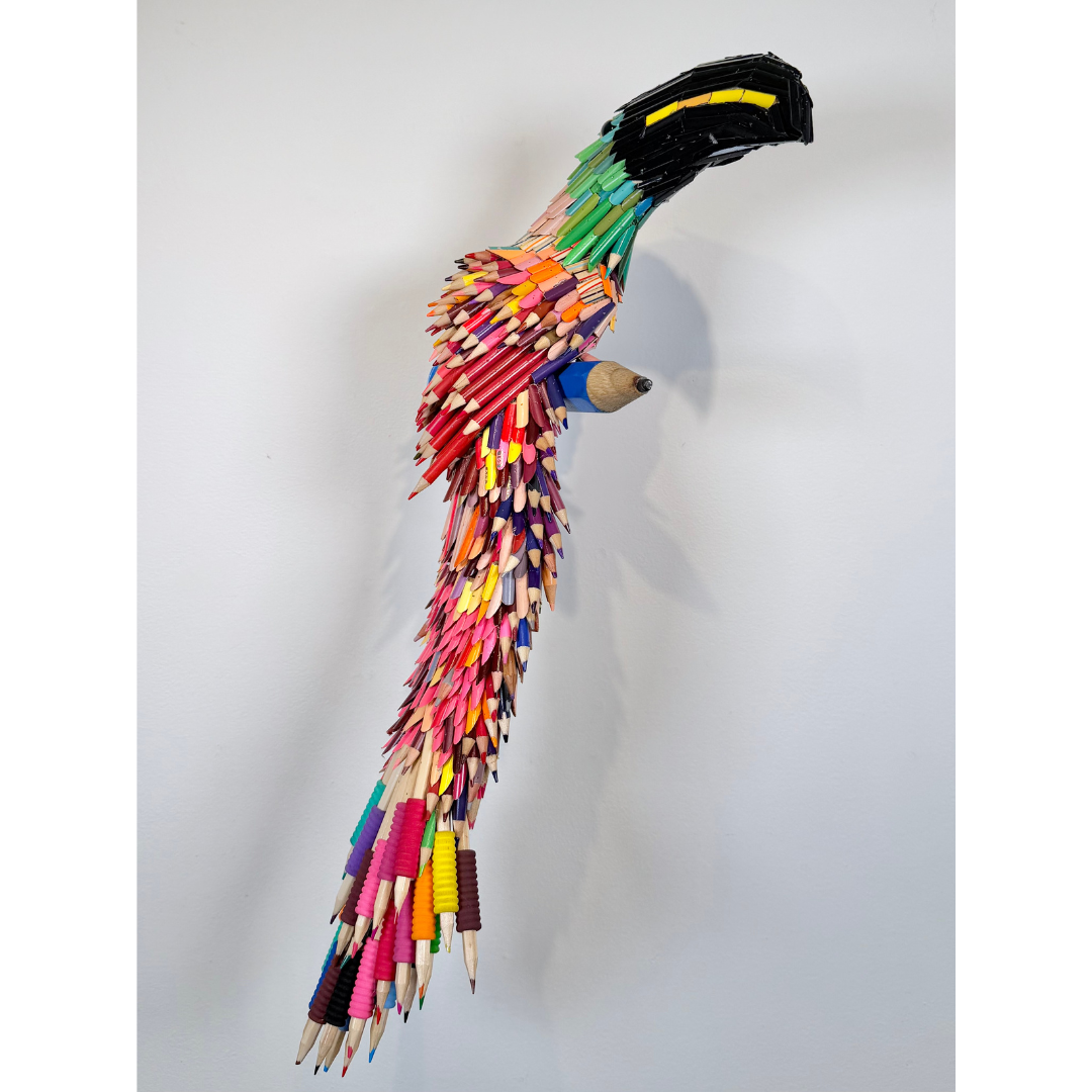 Federico Uribe, Pencil Toucan 3.png