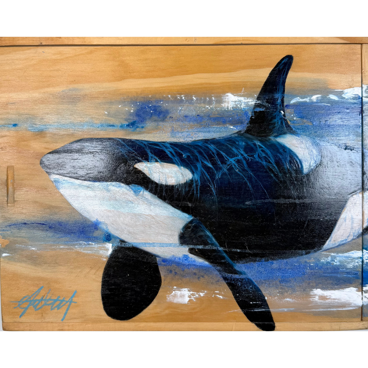 Anthony Burks, Orca, 2026_1.png