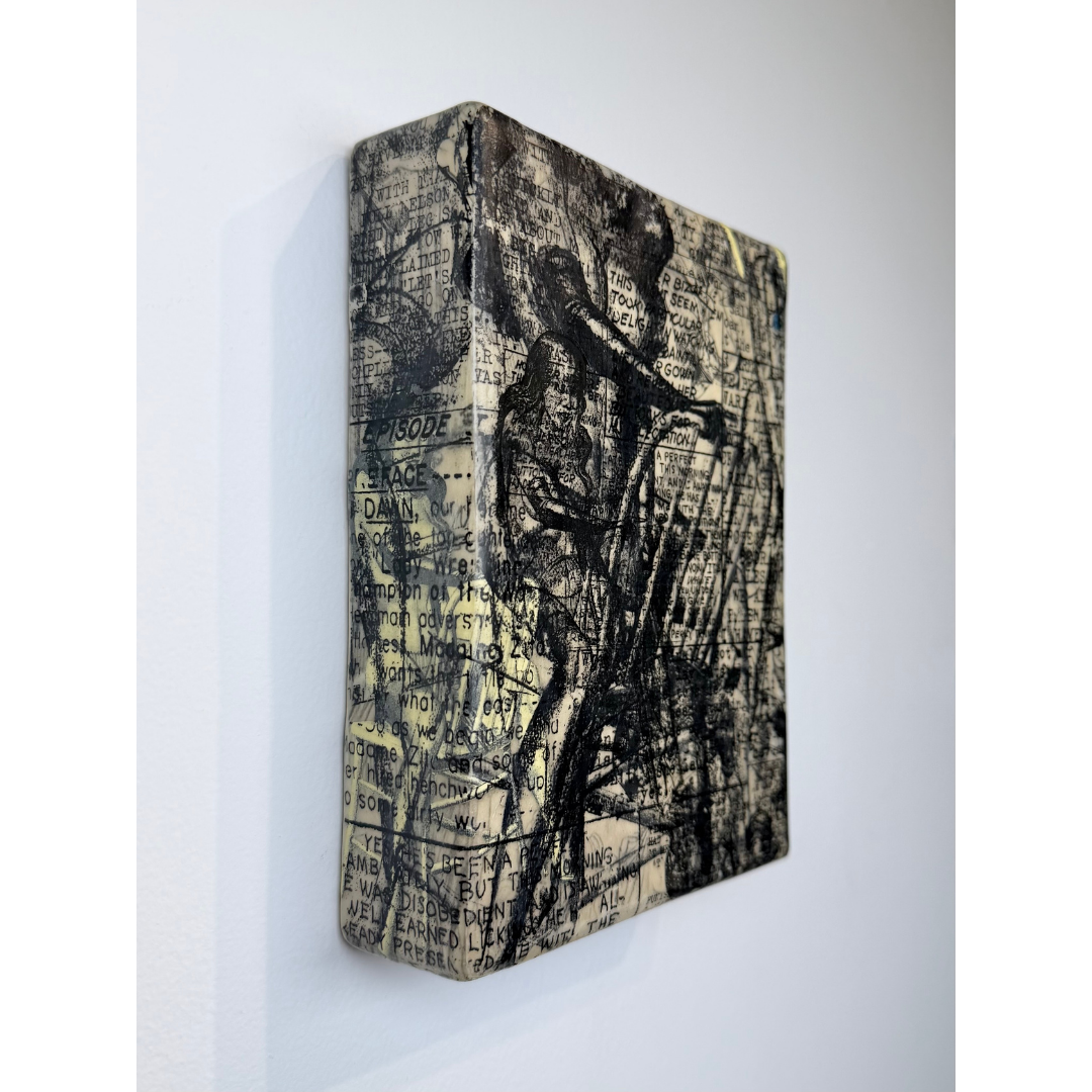 Sam Earle, 74 wachusett ave, 2017_3.png