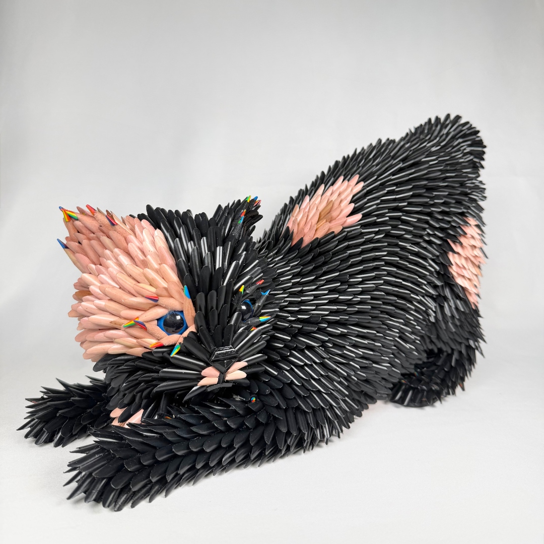 Federico Uribe, Playful Cat 7.png