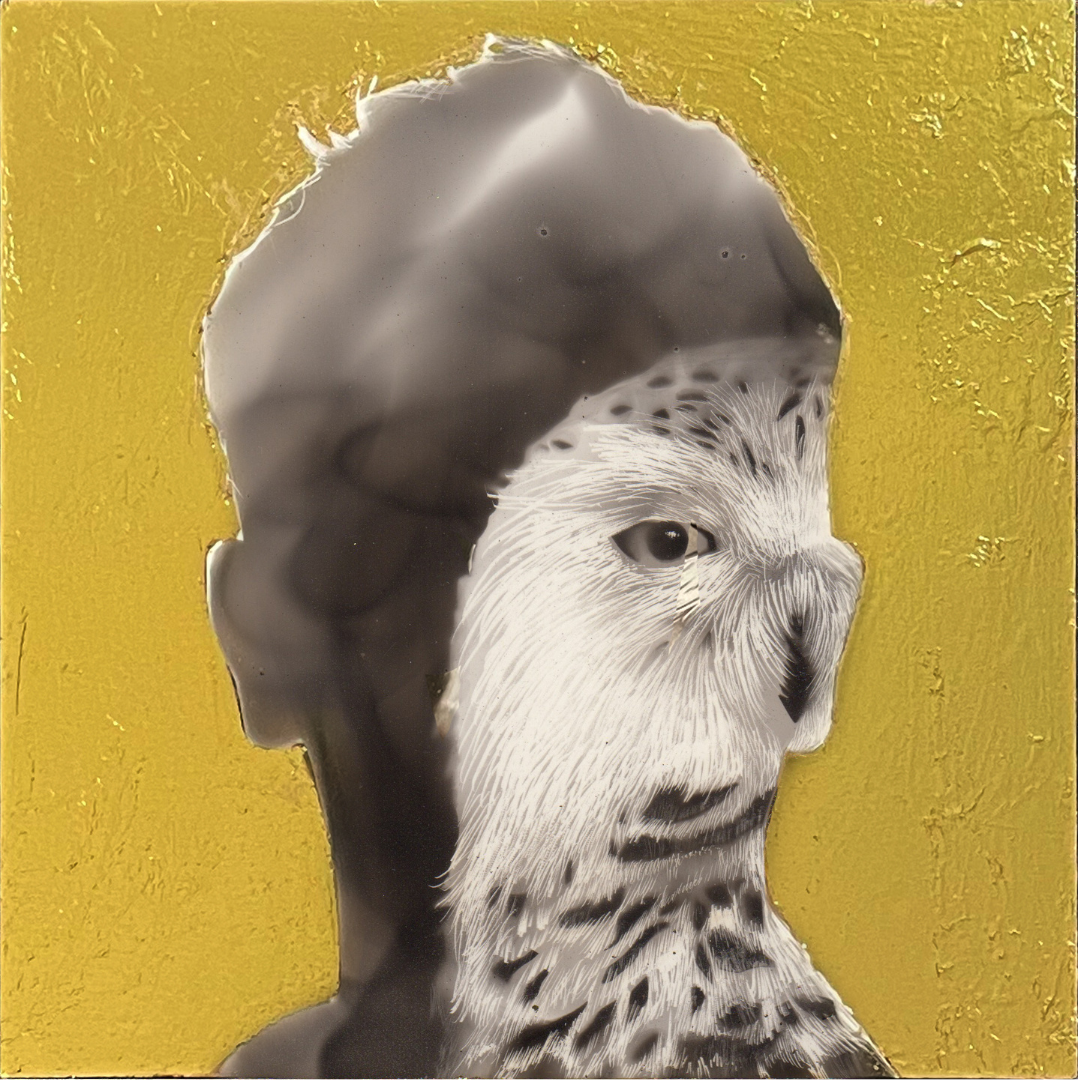 13.png