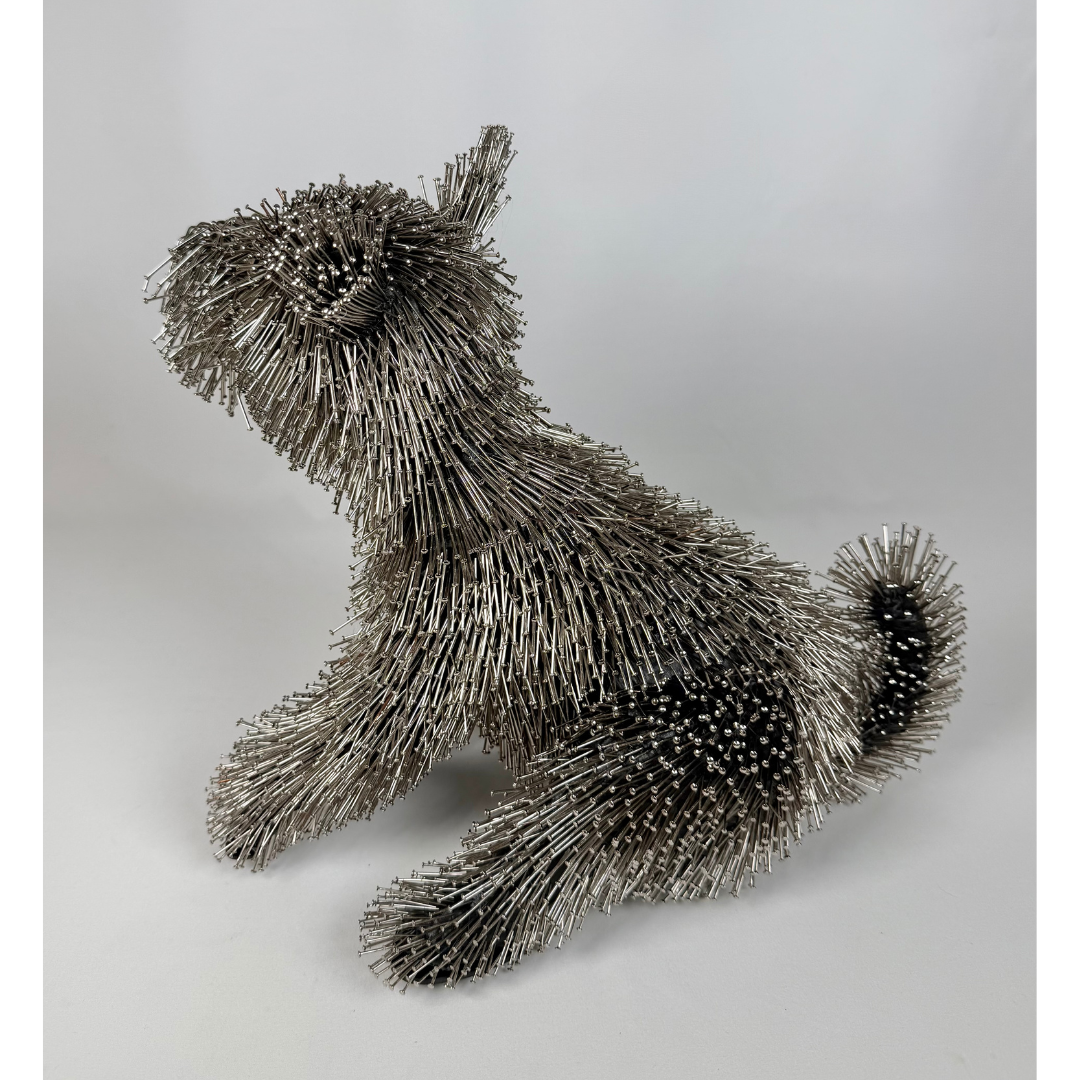 Federico Uribe, Terrier 6.png