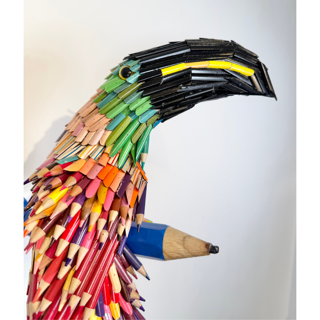 Federico Uribe, Pencil Toucan 6.png
