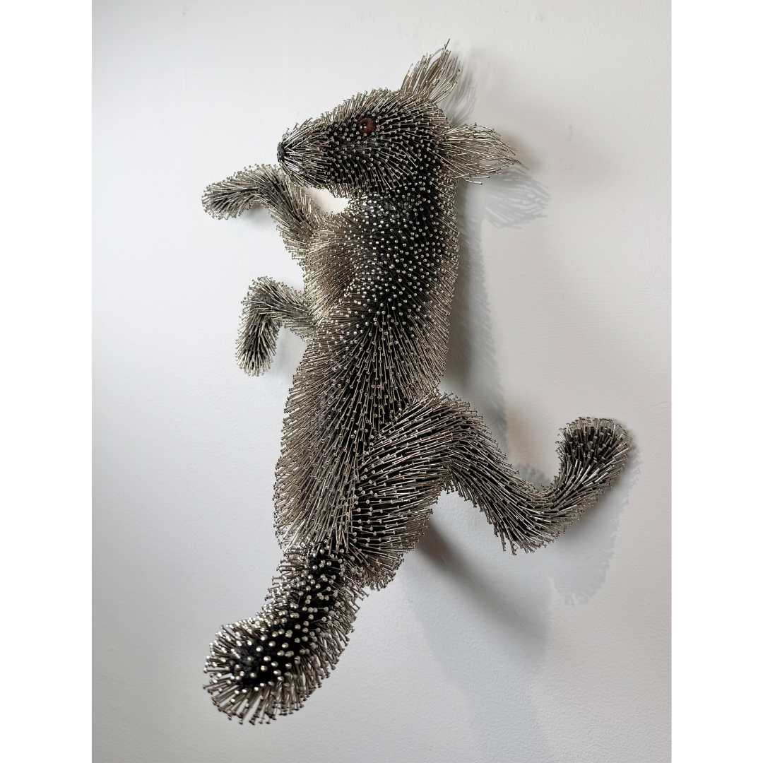 Federico Uribe, Playful Pin Puppy, 2026_6.png