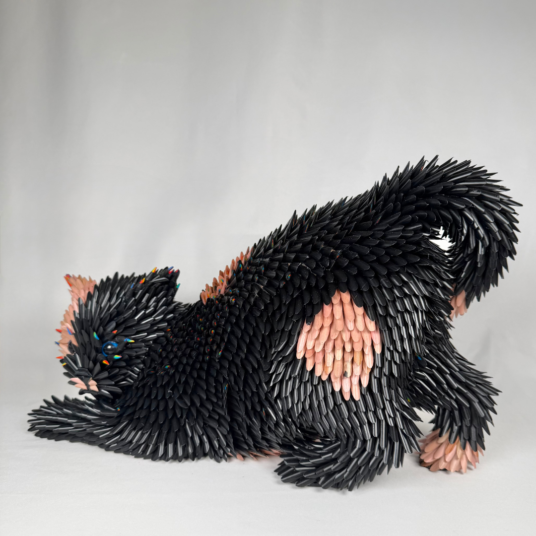 Federico Uribe, Playful Cat 6.png