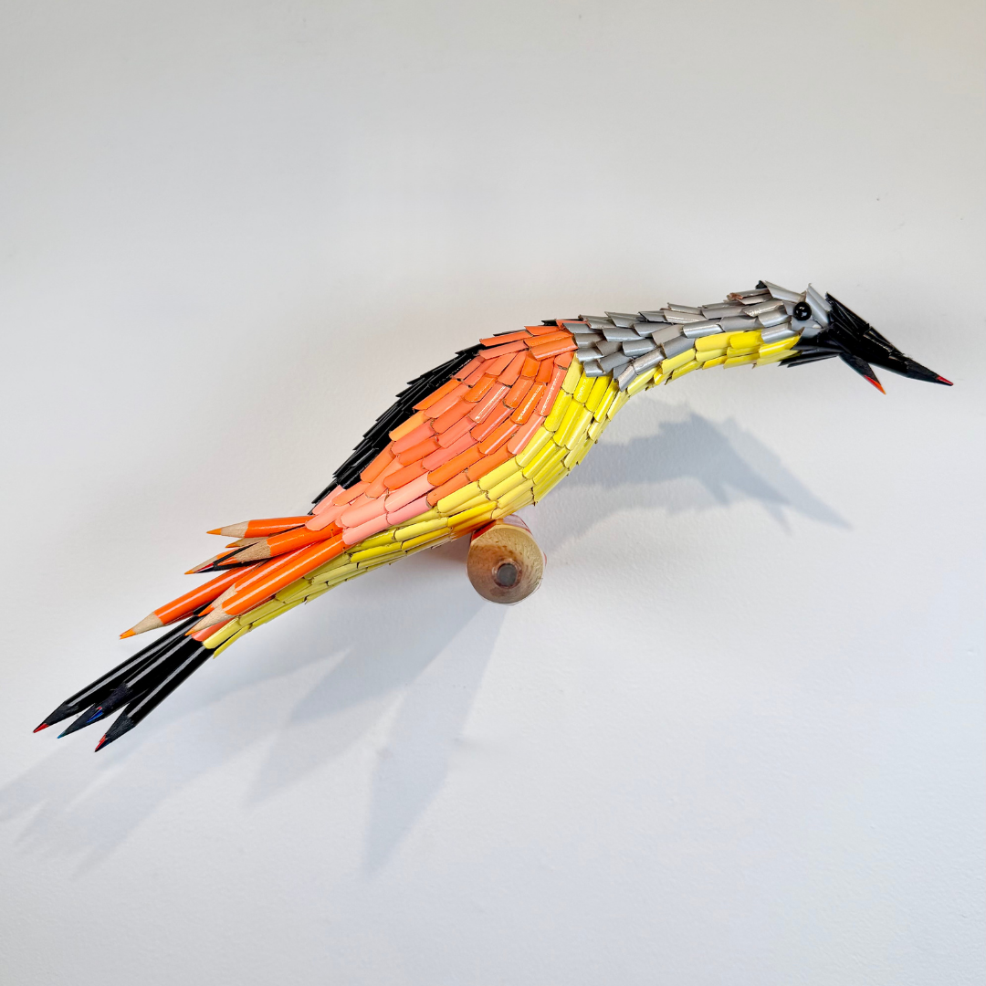 Black, Orange and Yellow Bird