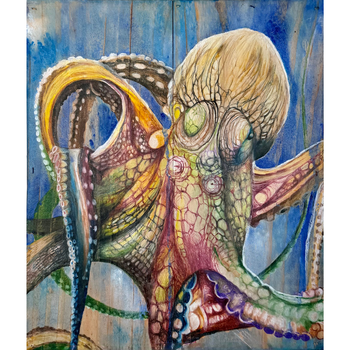 Anthony Burks, Octopus, 2026_1.png