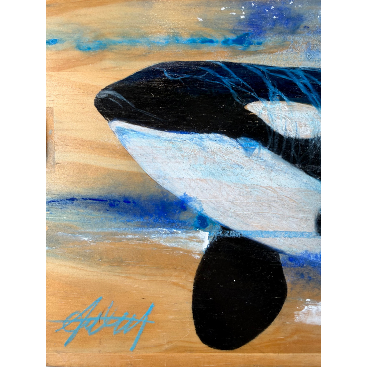 Anthony Burks, Orca, 2026_6.png