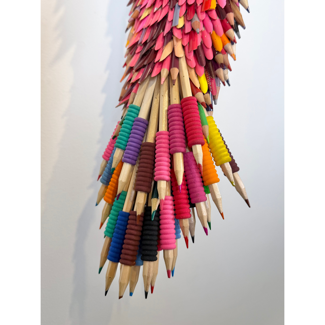 Federico Uribe, Pencil Toucan 7.png